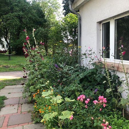 Cabana In Zweedorf An Der Ostsee 아파트 객실 사진